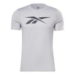 Reebok Graphic Series Vector T-Shirt Hellgrau/dunkelgrau