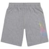 Reebok Rainbow Vector Junior Trainingsshorts Grau/bunt